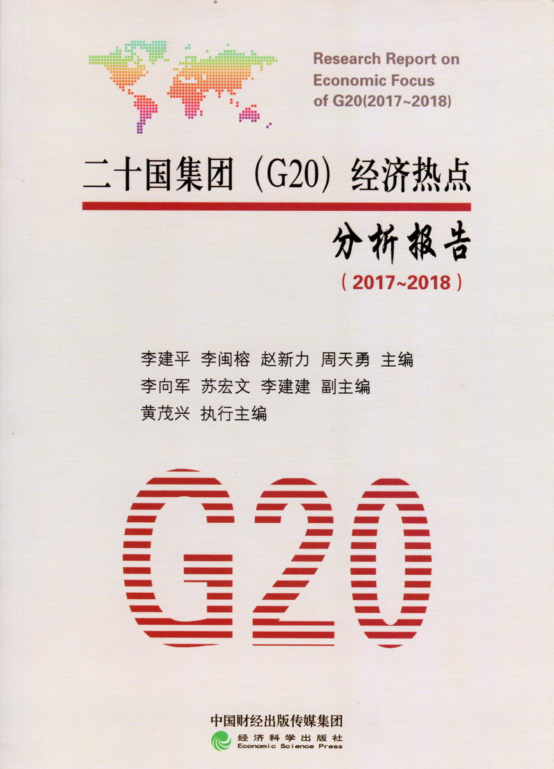 啊啊啊艹我不要视频二十国集团（G20）经济热点分析报告（2017-2018）